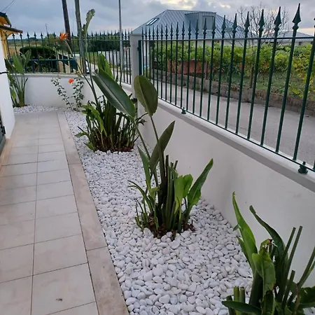 Lagoon & Country Side Home Ílhavo Exterior foto