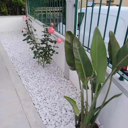 Lagoon & Country Side Home Ílhavo Exterior foto
